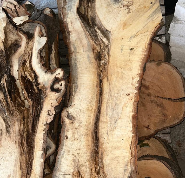 Holzbohle aus gestockter Kastanie gestockte Kastanienbohle